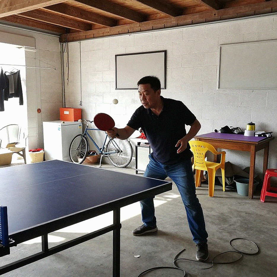 Brussels, Belgium: When Table Tennis Has No Score, the Real Match Begins