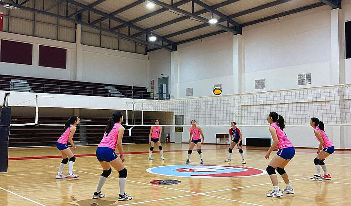 Türkiye 3-0 Serbia in the EuroVolley 2026 Semifinal: Six Serves That Opened the Door to the Olympics